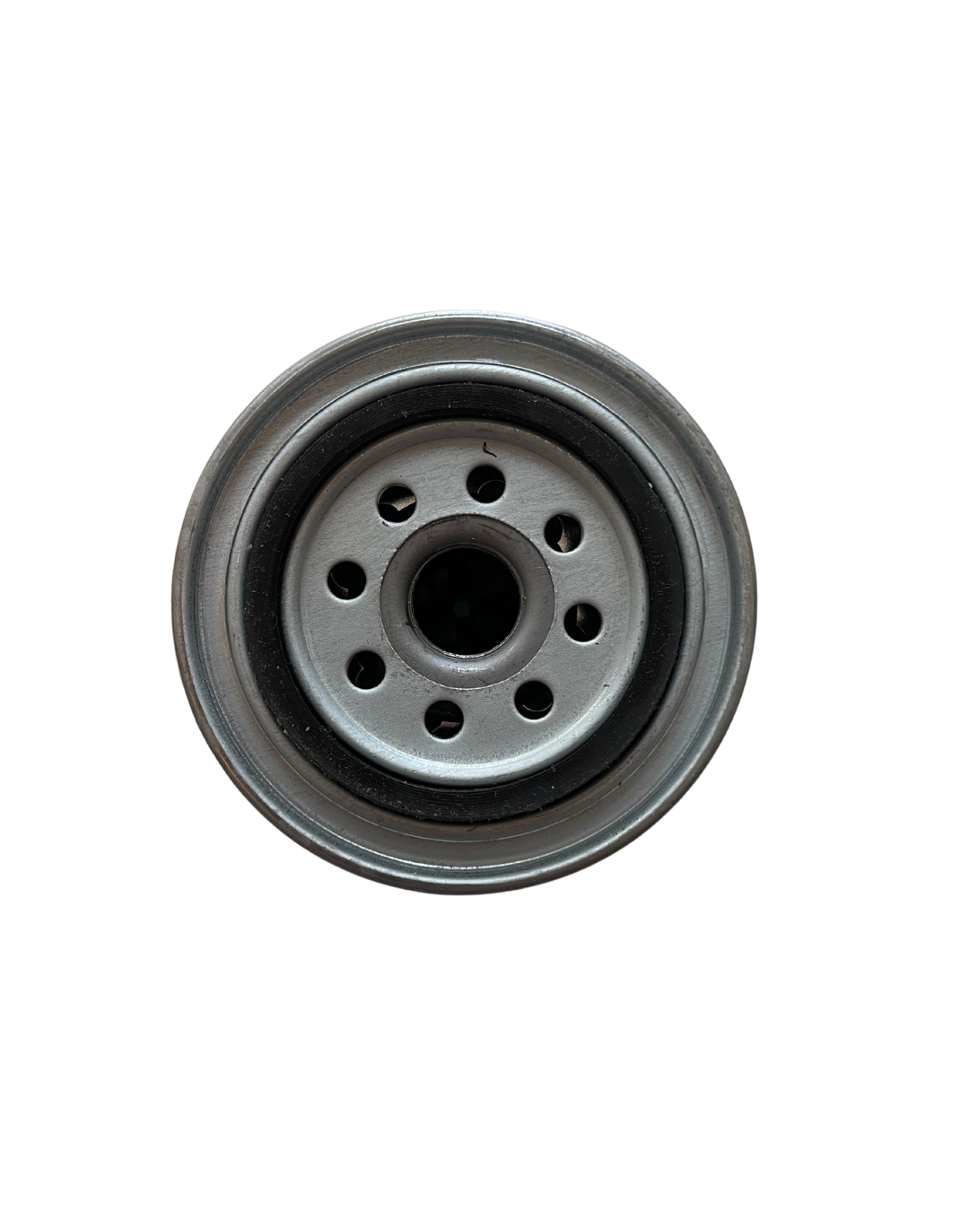 Filtro de gasoil de alta eficiencia para motores diésel | E93180R20